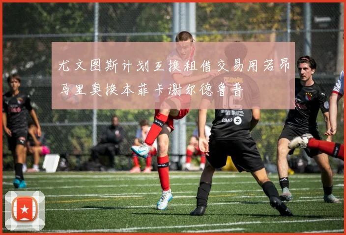 尤文图斯计划互换租借交易用若昂马里奥换本菲卡谢尔德鲁普