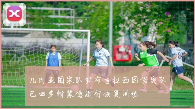 几内亚国家队宣布吉拉西因伤离队已回多特蒙德进行恢复训练