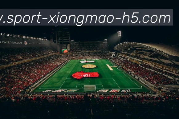 熊猫体育发展历程